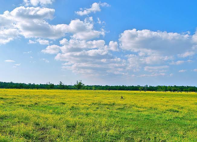 PROCESS OF BUYING LAND IN KENYA