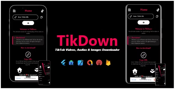 Tikdown - Download TikTok Videos Without Watermark Free 100% Fast Online